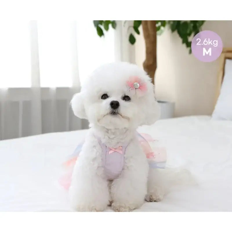 ITSDOG - Pet Ballerina Dress - ITSDOG - Pet Clothes - Harumio