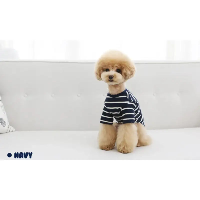 ITSDOG - Pet Modern Striped T-Shirt - ITSDOG - Pet Clothes - Harumio