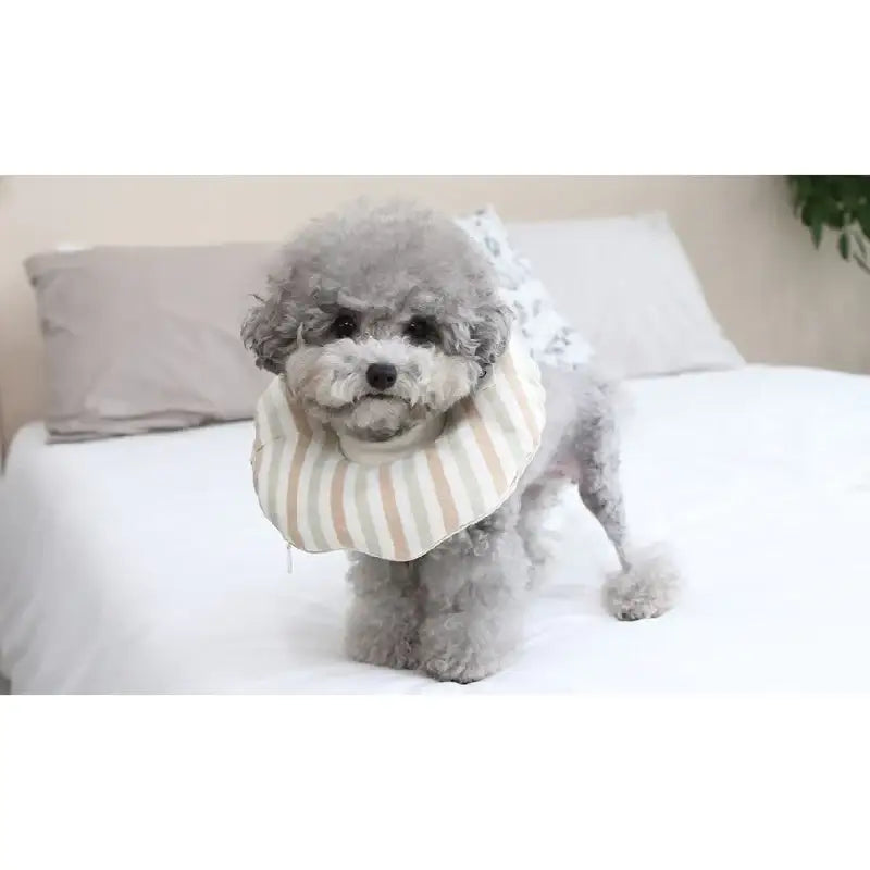 ITSDOG - Pet Organic Neck Collar - ITSDOG - Pet Accesories - Harumio