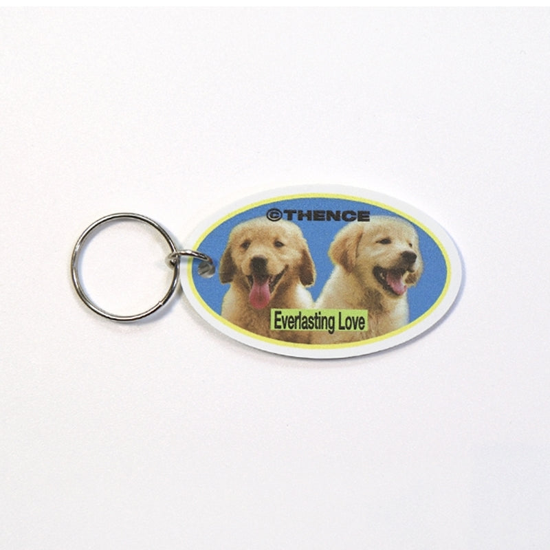 THENCE - ABS Key Holder