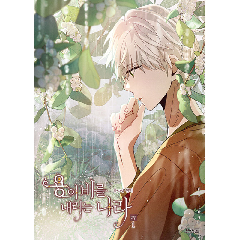 The Land Where The Dragon’s Rain Falls - Manhwa