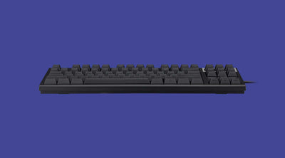 Realforce R2 TKL Mechanical Keyboard