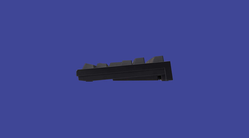 Realforce R2 TKL Mechanical Keyboard