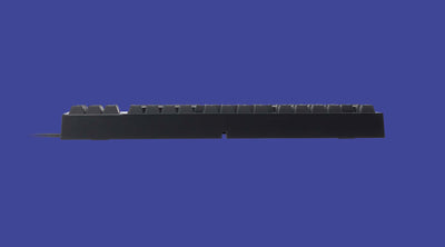 Realforce R2 TKL Mechanical Keyboard
