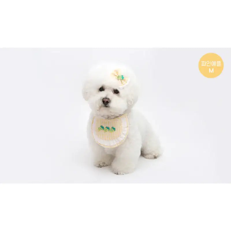 ITSDOG - Pet Fruit Bong Bong Scarf - ITSDOG - Pet Accesories - Harumio