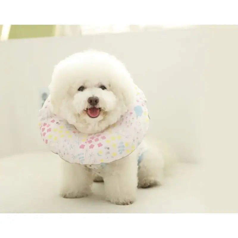ITSDOG - Pet Organic Neck Collar - ITSDOG - Pet Accesories - Harumio