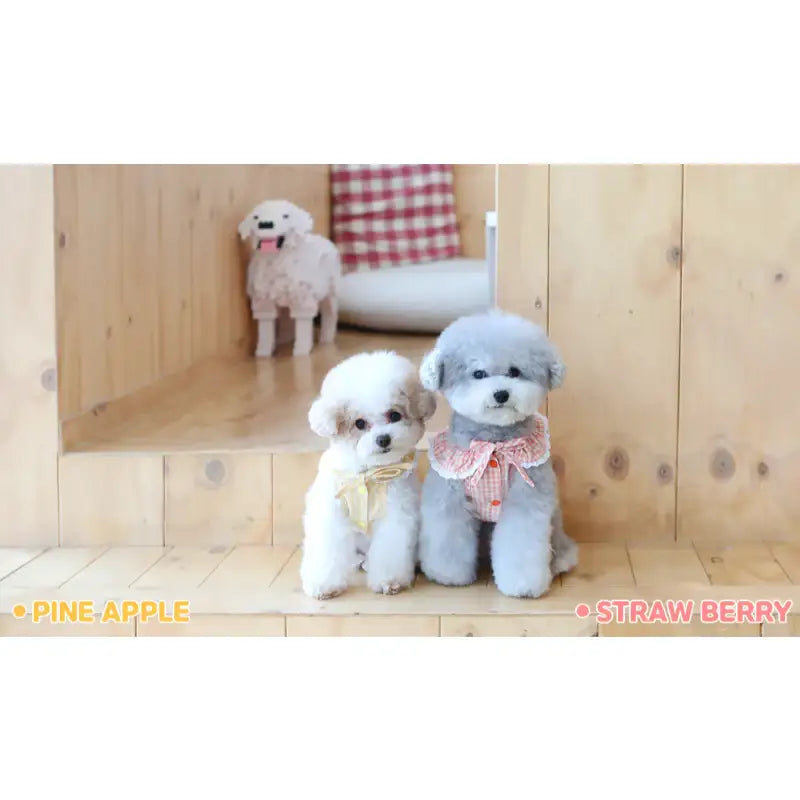 ITSDOG - Pet Fruit Bong Bong Dress - ITSDOG - Pet Clothes - Harumio