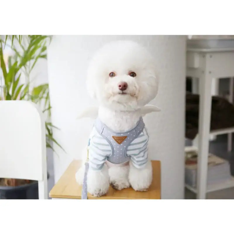 ITSDOG - Pet Harness - ITSDOG - Pet Accesories - Harumio