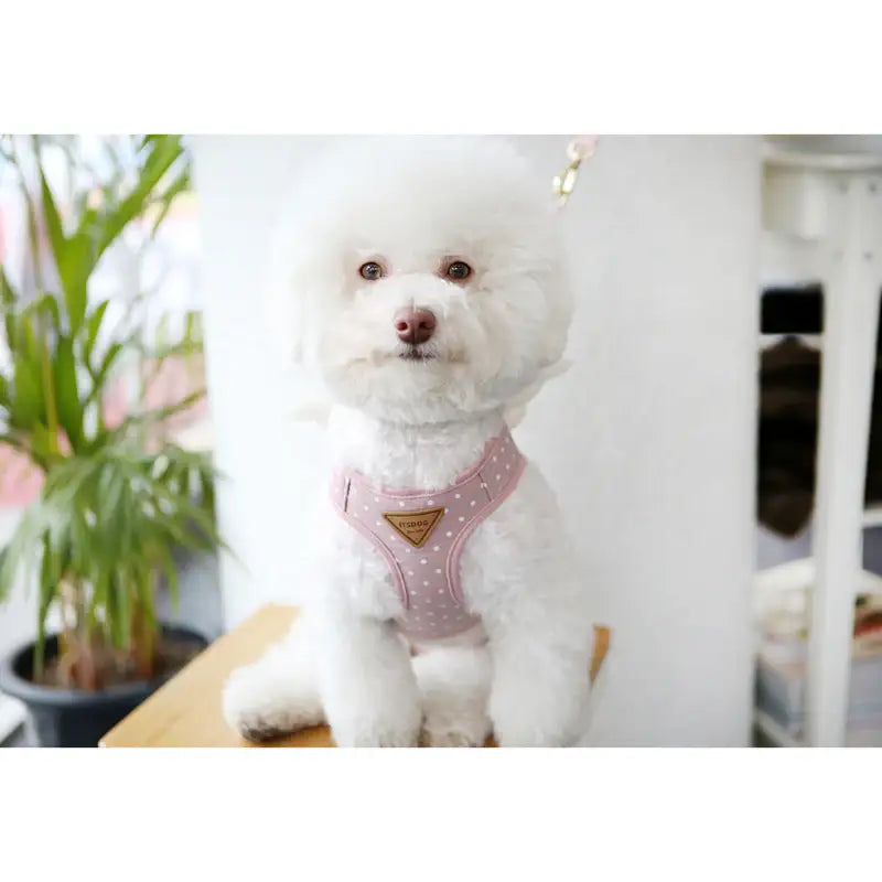 ITSDOG - Pet Harness - ITSDOG - Pet Accesories - Harumio