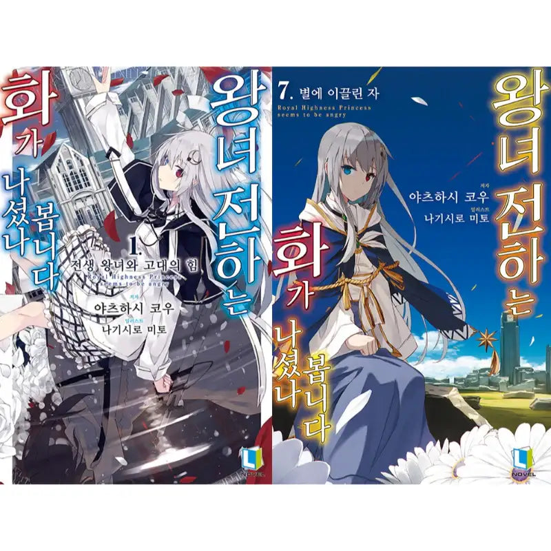Royal Highness Princess Seems To Be Angry Light Novel - D&C Media - Light Novel - Harumio