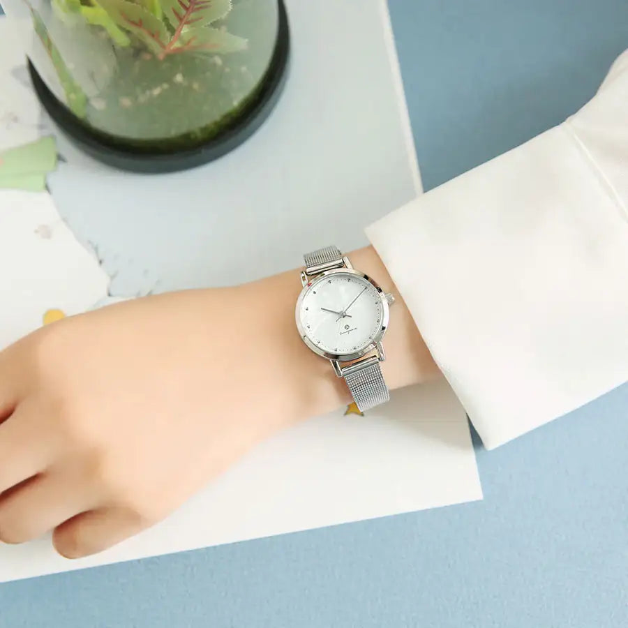 Le Petit Prince x OST - Le Petit Prince and Planet Silver Luminous Mesh Watch - OST - Watches - Harumio