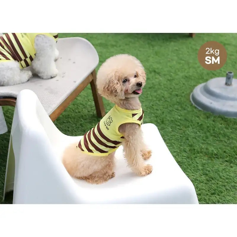 ITSDOG - Pet Honey Bee Rash Guard - ITSDOG - Pet Clothes - Harumio