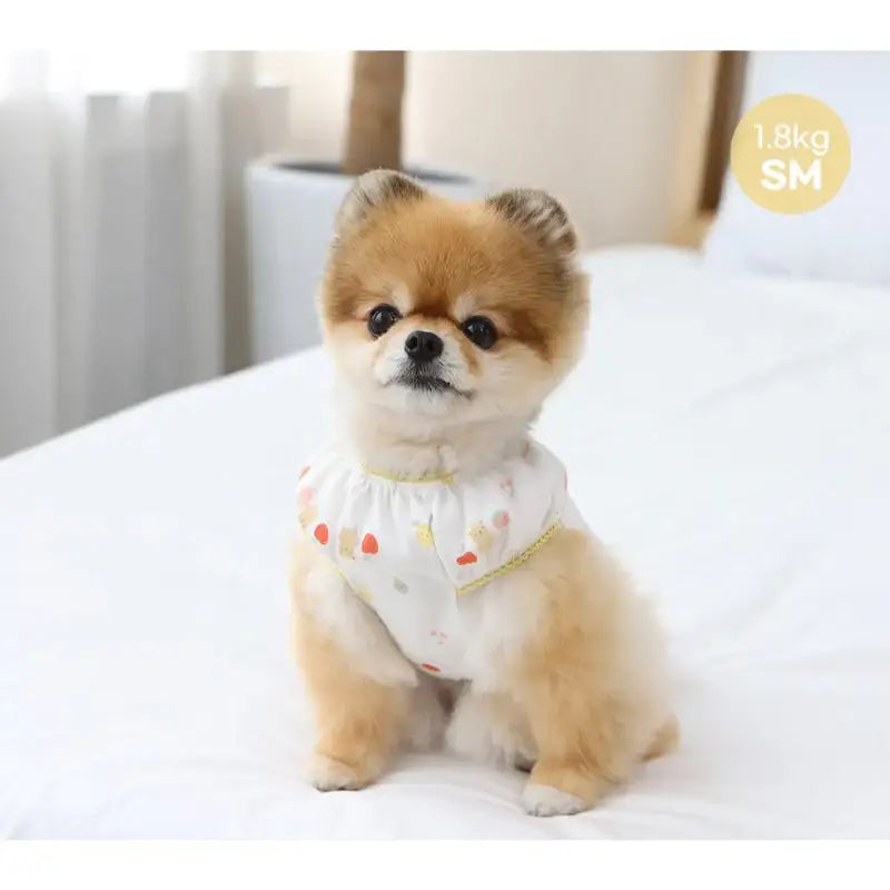 ITSDOG - Pet Friends Puff T-Shirt - ITSDOG - Pet Clothes - Harumio