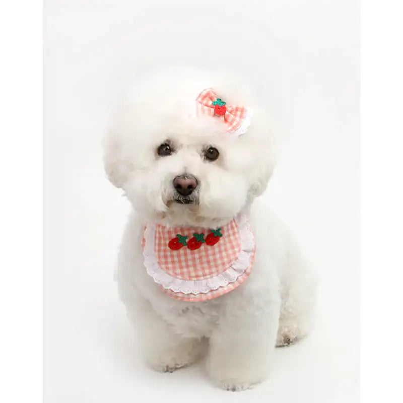 ITSDOG - Pet Fruit Bong Bong Hairpin - ITSDOG - Pet Accesories - Harumio