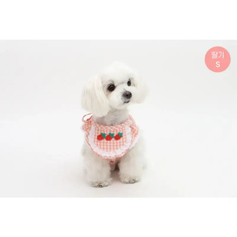 ITSDOG - Pet Fruit Bong Bong Scarf - ITSDOG - Pet Accesories - Harumio