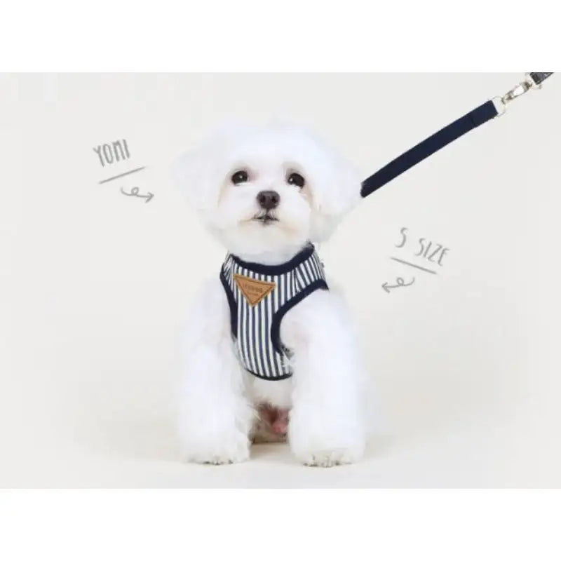 ITSDOG - Pet Harness - ITSDOG - Pet Accesories - Harumio