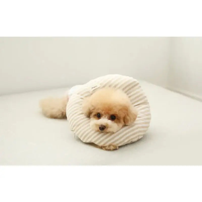 ITSDOG - Pet Organic Neck Collar - ITSDOG - Pet Accesories - Harumio