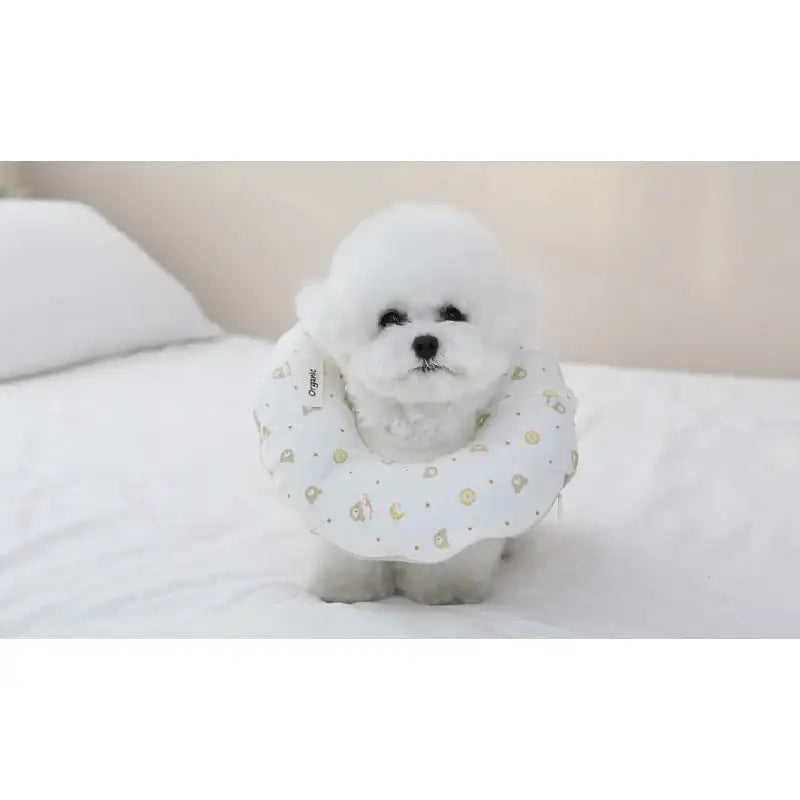 ITSDOG - Pet Organic Neck Collar - ITSDOG - Pet Accesories - Harumio