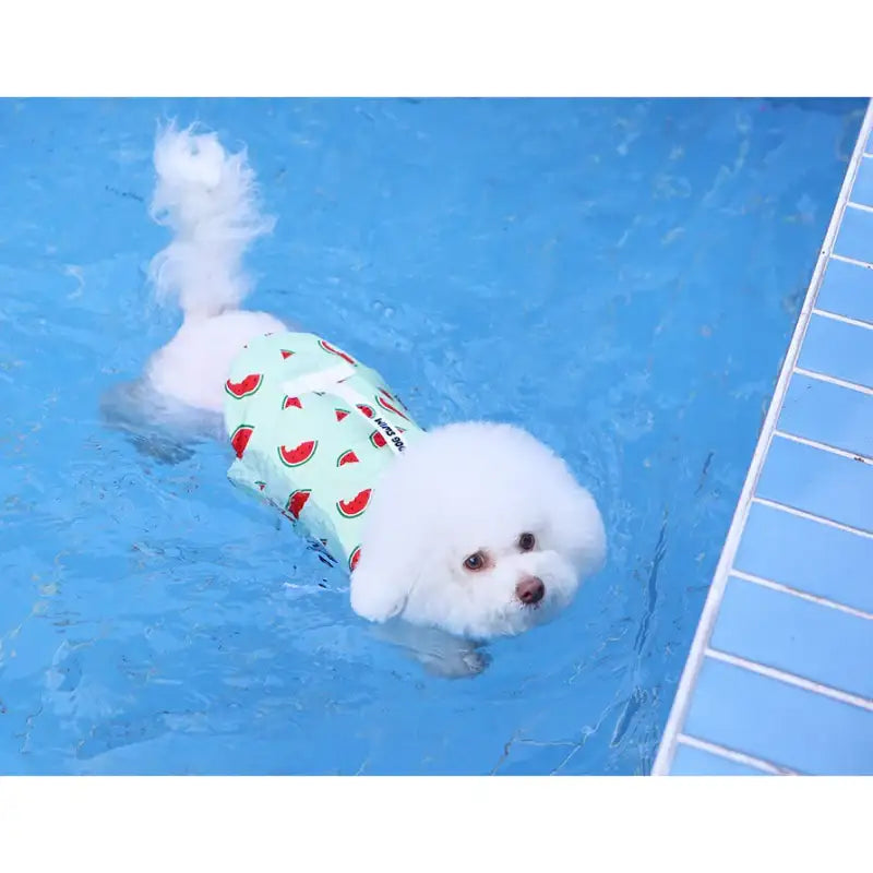 ITSDOG - Pet Life Jacket - ITSDOG - Pet Clothes - Harumio