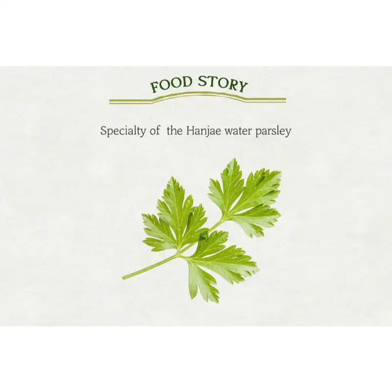 SKINFOOD - Water Parsley Clear Pad Special Set - SKINFOOD - Face Pads - Harumio
