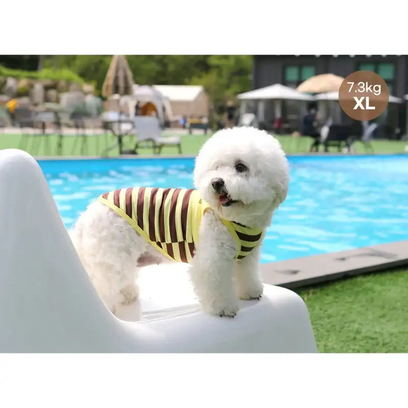 ITSDOG - Pet Honey Bee Rash Guard - ITSDOG - Pet Clothes - Harumio