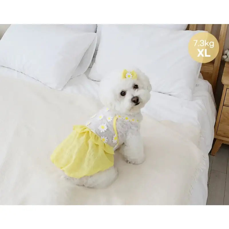 ITSDOG - Pet Daisy Balloon T-Shirt - ITSDOG - Pet Clothes - Harumio