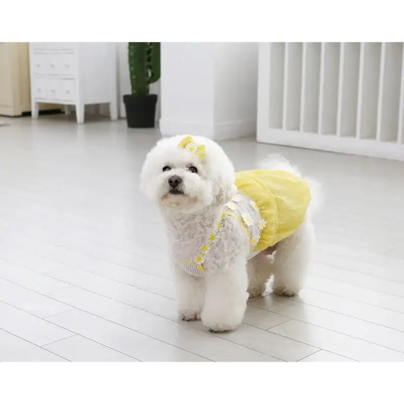 ITSDOG - Pet Daisy Balloon T-Shirt - ITSDOG - Pet Clothes - Harumio