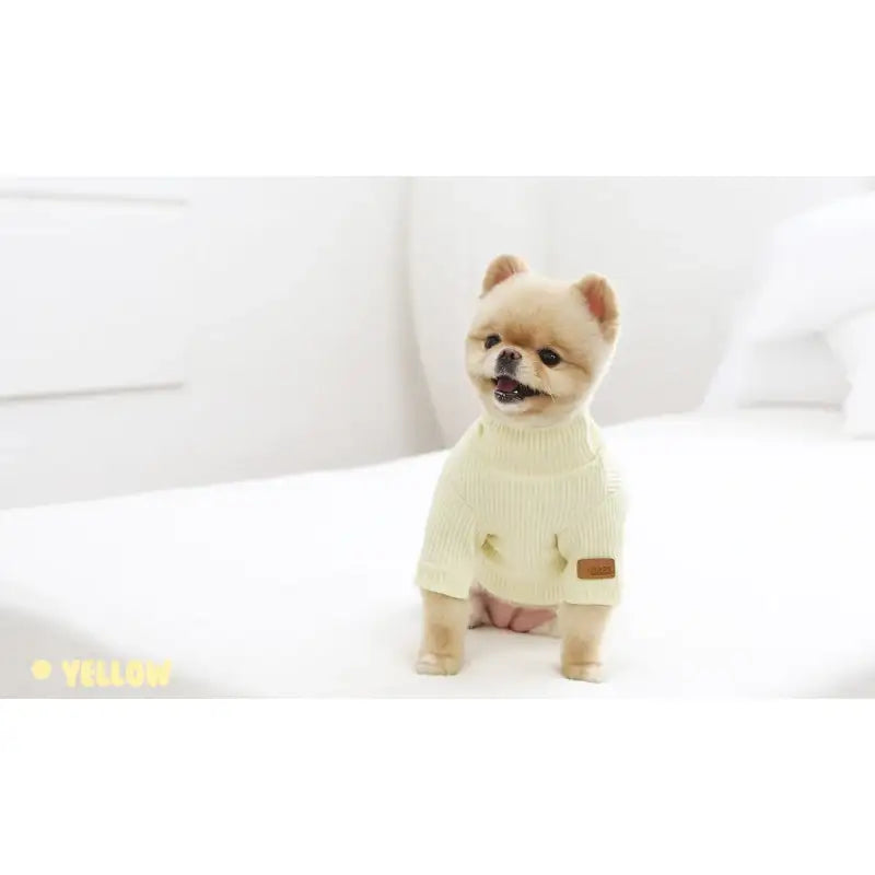 ITSDOG - Pet Milk Jelly T-Shirt - ITSDOG - Pet Clothes - Harumio