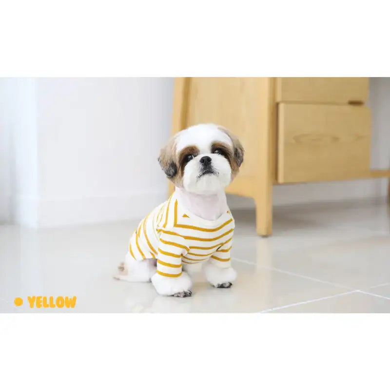ITSDOG - Pet Modern Striped T-Shirt - ITSDOG - Pet Clothes - Harumio