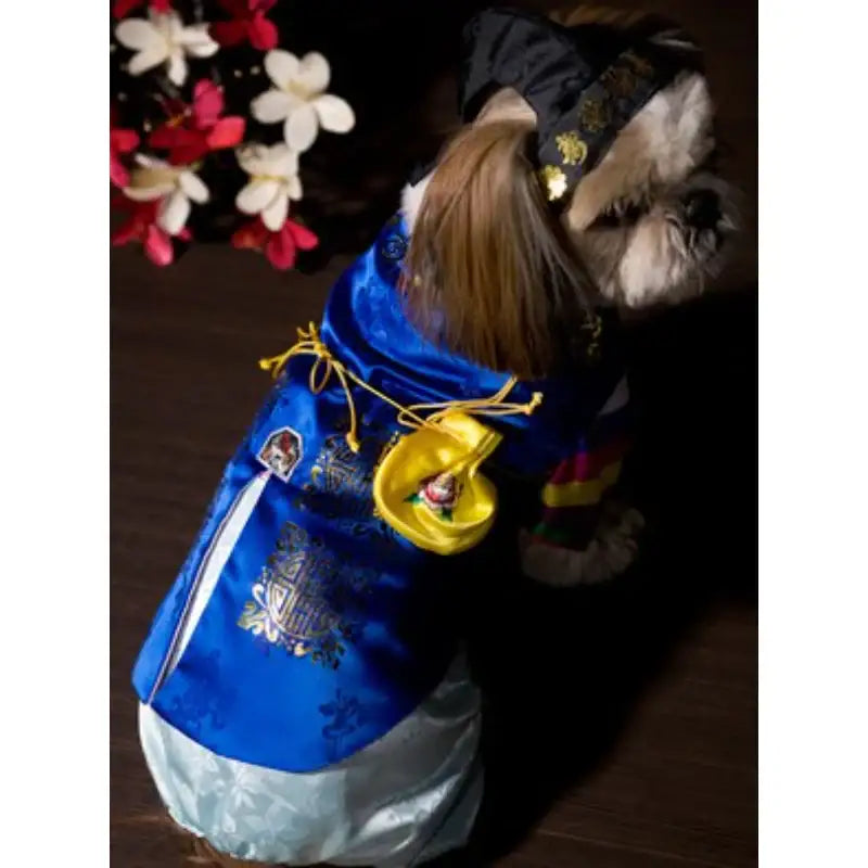 ITSDOG - Pet Hanbok Lucky Bag - ITSDOG - Pet Accesories - Harumio